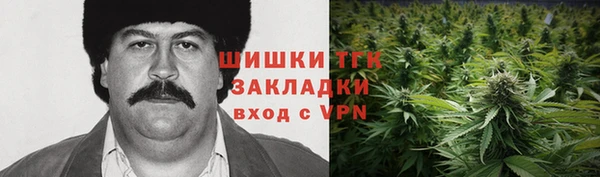 стаф Гусь-Хрустальный