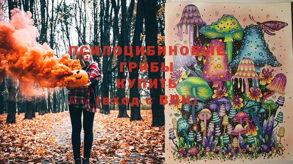 стаф Гусь-Хрустальный