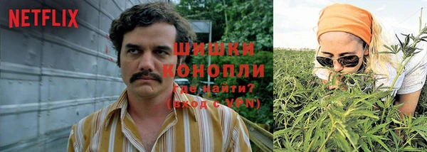 стаф Гусь-Хрустальный