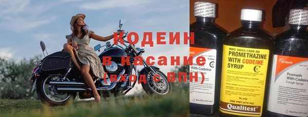 ПСИЛОЦИБИНОВЫЕ ГРИБЫ Гусиноозёрск
